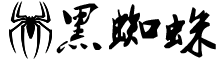 技术学习 - 黑蜘蛛网络